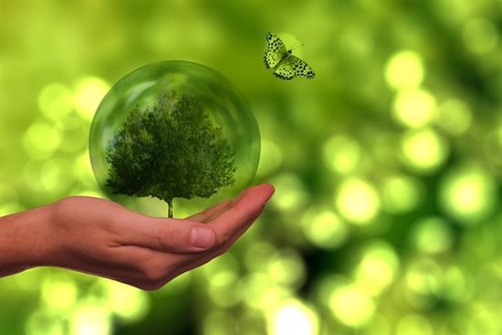 Gas and biofuel trucks: The reasons for their non-recognition as renewable energies