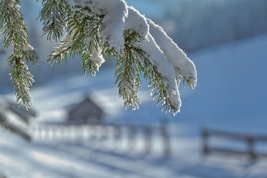 Winter conditions in Italy: Mont Blanc tunnel to remain closed for heavy goods vehicles