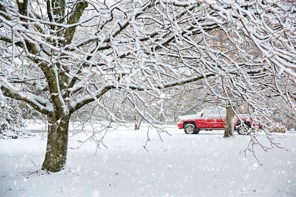 Transport stuck in snow